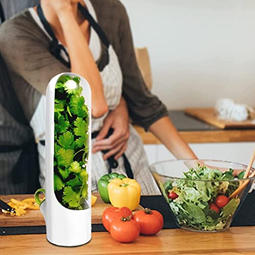 Image of Herb & Vegetable Fresh‑Keeper Bottle for Fridge - Preserve Mint, Parsley, Cilantro, Asparagus Longer - Airtight Design to Lock in Crispness & Flavor