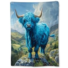 Highland Cow43