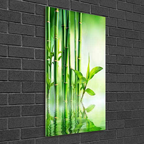 Image sur verre synthétique Tulup 50x100 cm tableau premium bambou