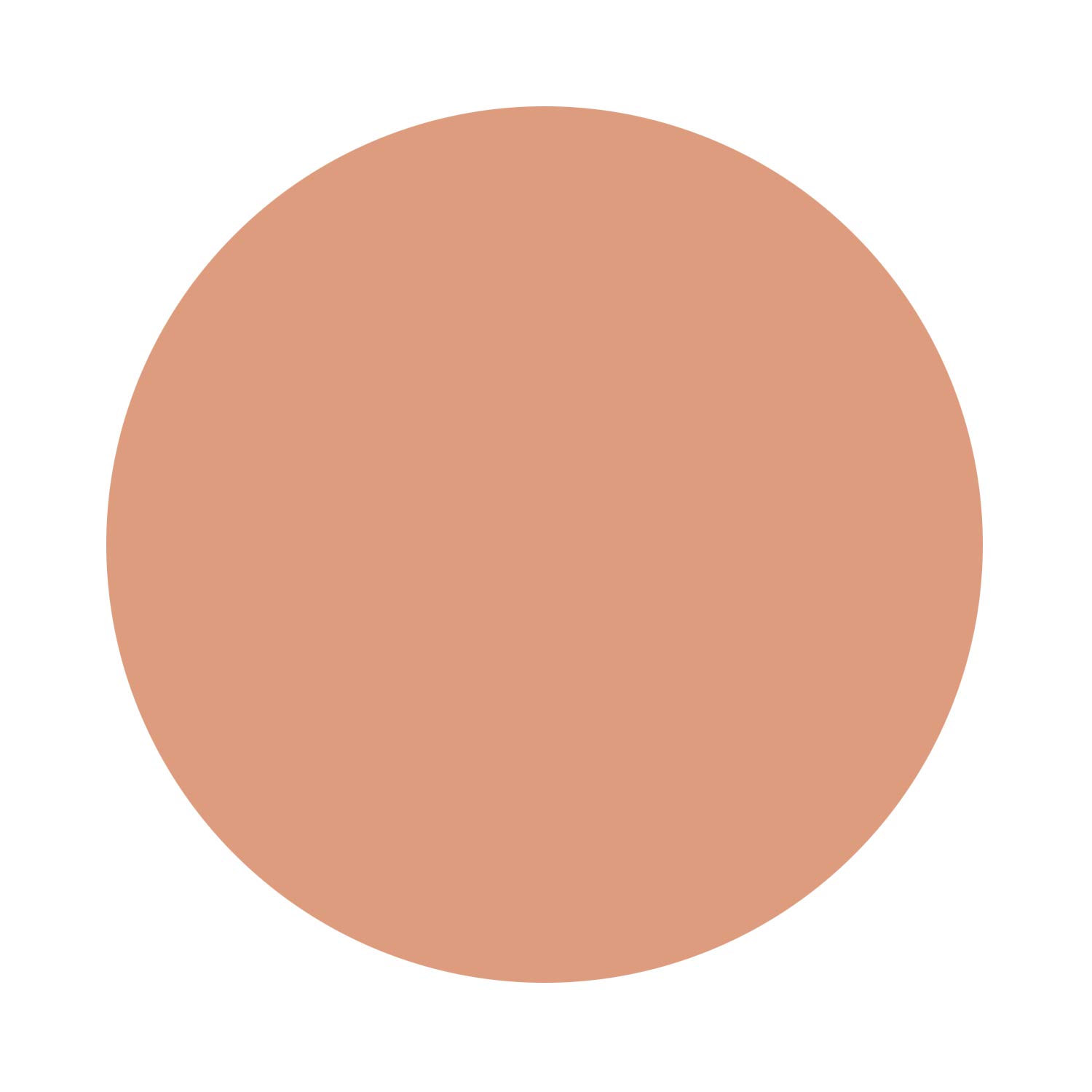 Amazon | エルシア プラチナム モイストカバー ファンデーション 410