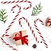 Christmas Candy Canes Classic Red and White Peppermint Flavor for Holiday Family Indulgement - Bulk Candy Canes Individually Wrapped for Kids and Adults, Great Candy Cane Gift Set - 12 Pack