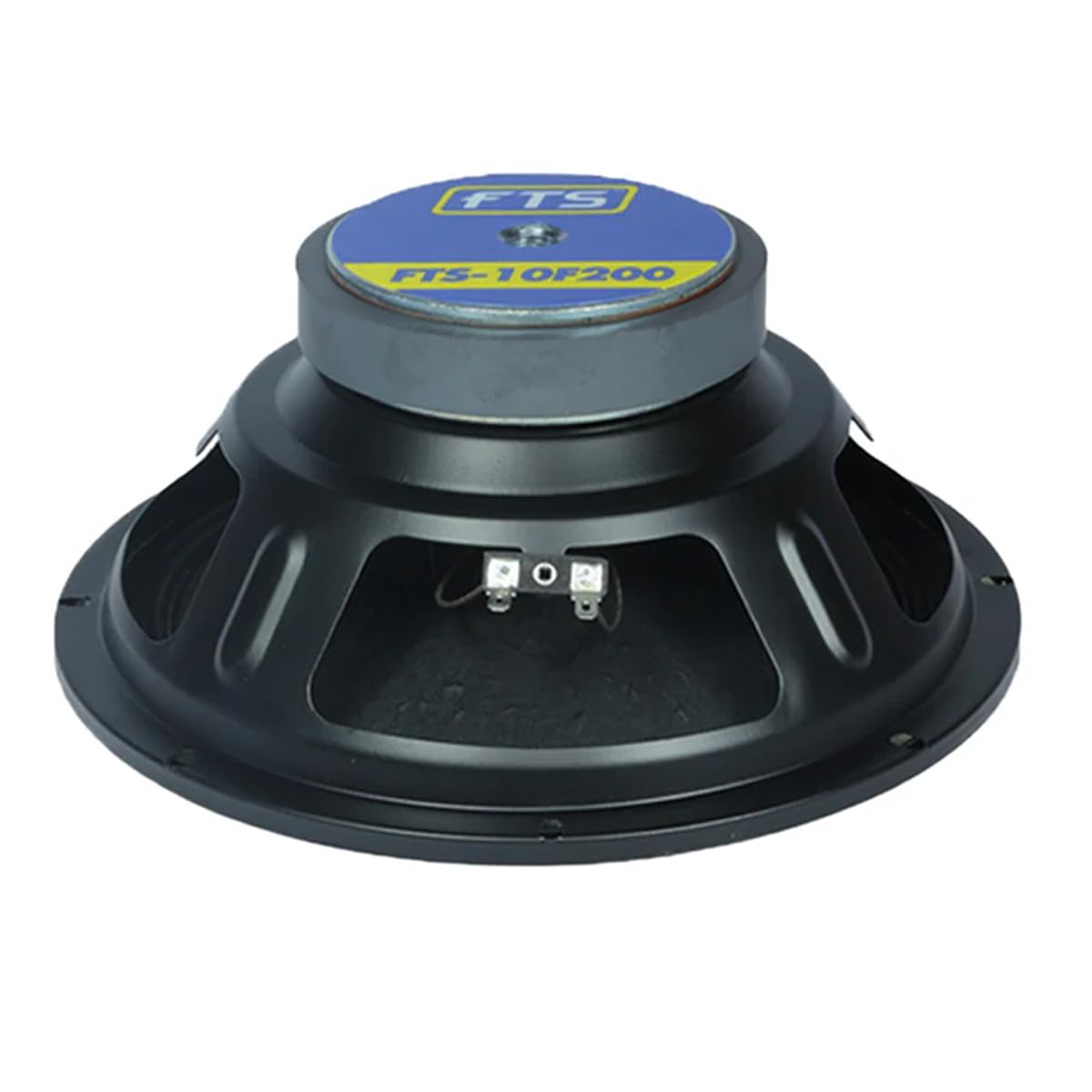 Replacement Loose Speaker 200W : Amazon.co.za: Electronics