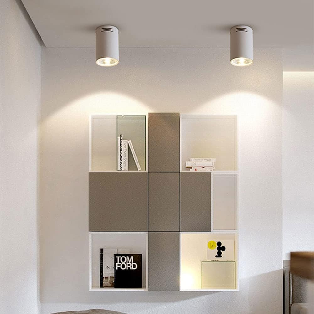 Led Ceiling Spotlight Surface Mounted Downlight, 20W Indoor Ceiling Mount Lighting Fixtures, Cylindrical Ceiling Down Lights Aluminum Spotlights for Kitchen Living Room/White3000K