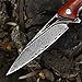 DRACHENADER Pocket Knife Damascus Made of Damascus Steel with Clip Vg10 Core Wooden Handle Gift for Knife (A2- A Knife with Genuine Leather Sheath (Set))