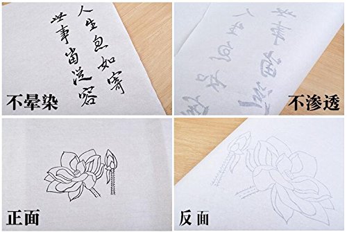 Easyou Sumi Paper Ripe Xuan Paper Sumi Paper For Chinese Japaness Painting In Meticulous Style Claborate-Style Painting 33Cmx66Cm(12.99"X26") 50Sheets/Pack #TOP3