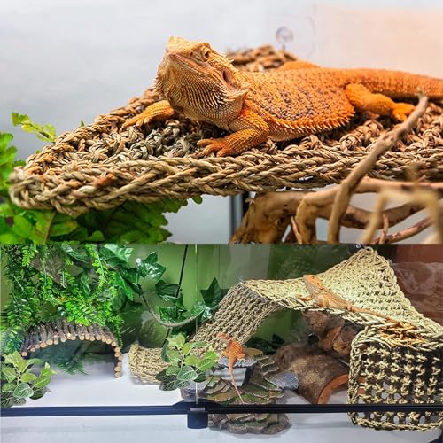 Woyrise Conjunto de decoração de hammoc e planta de dragão barbudo, acessórios de tanque de répteis
