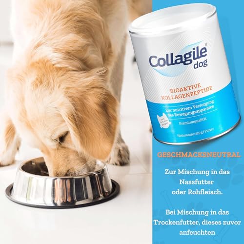 Collagile Dog 2x225g – Bioaktive Collagen Peptide für Hunde und Katzen – Nutrifunktionelles Gelenkpulver – unterstützt den gesamten Bewegungsapparat – Klinisch in Studien getestet