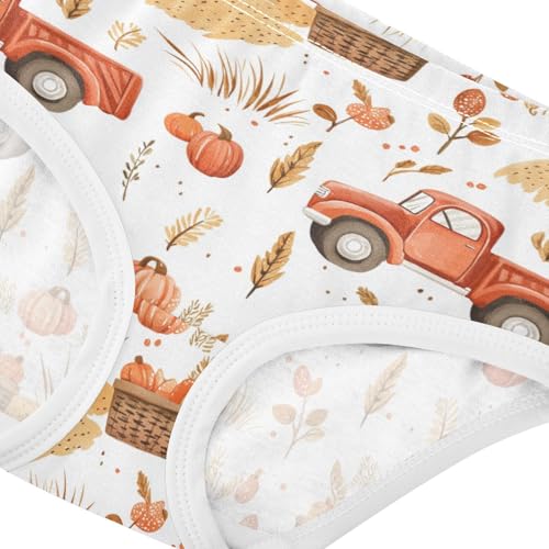 ZZKKO Farm Truck Crops Farmhouse Girls Underwear Toddler Panties for Girls Comfort Brief Size 2-8T3