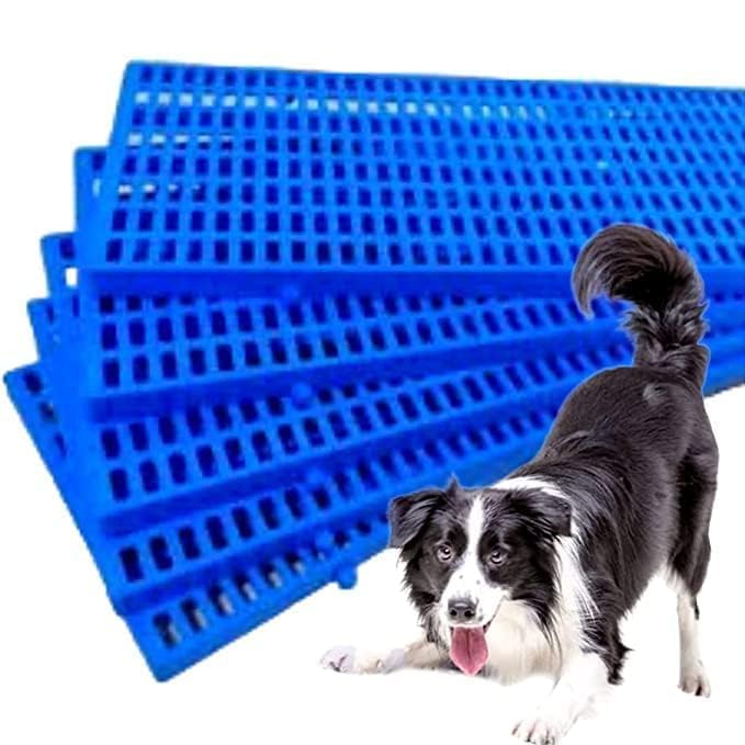 D&C PAWS Pet Plastic Flooring Mat for Dog/Cat/Rabbit/Goats Multipurpose Floor 36x12 Inch (Blue, Dog Pack of 4 Pcs)