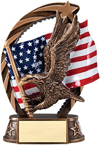 SHOP AWARDS AND GIFTS Eagle and American Flag Brass Trophy, Engravable Customizable Personalized Patriotic Award for Employee Recognition, Work, School, Military, 7-1/2 Inch