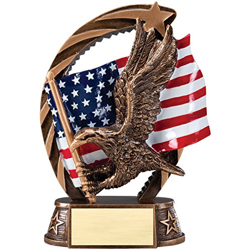 SHOP AWARDS AND GIFTS Eagle and American Flag Brass Trophy, Engravable Customizable Personalized Patriotic Award for Employee Recognition, Work, School, Military, 7-1/2 Inch