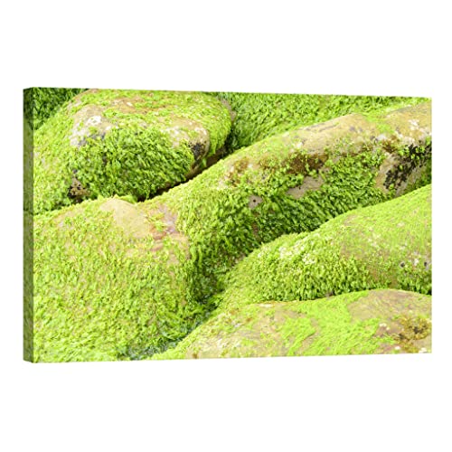 Tableau nature phosphorescent Lights in the dark de 80 x 120 cm