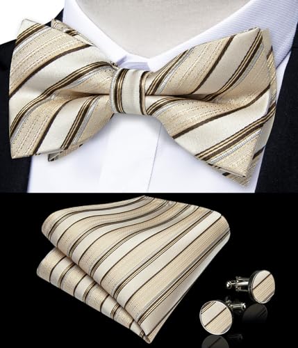 Image of DiBanGu Paisley Pre-Tied Bow Ties for Men Silk Adjustable Bowtie and Pocket Square Cufflinks for Wedding Party