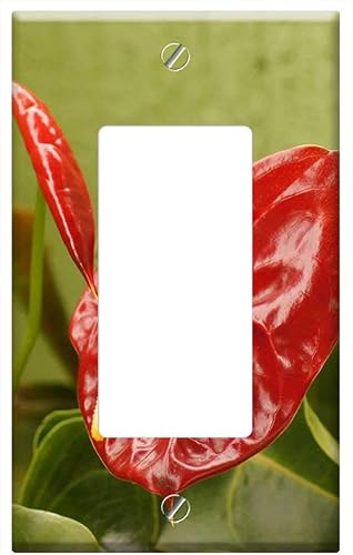 Switch Plate Single RockerGFCI - Flora Florez Nature Armenia Quindio