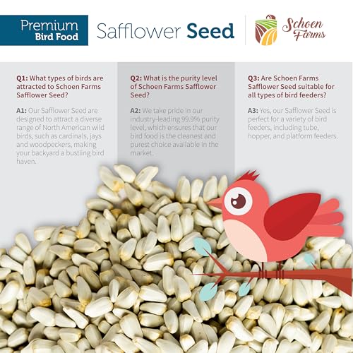 Schoen Farms Safflower Seeds Bird Food – 2.27 kg Bag – Natural Seed for Cardinals, Finches & Doves – Squirrel-Resistant, Canadian Grown - Image 6
