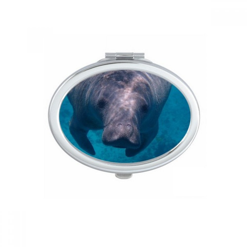 Miroir compact poissons marins de maquillage fait main, un cadeau mignon pour femme
