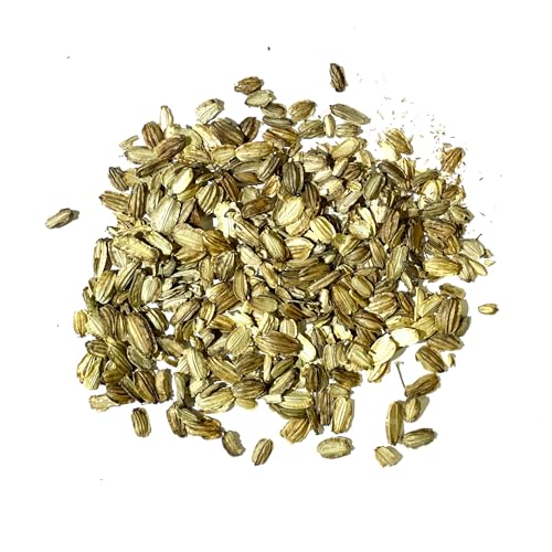 Seed Needs Angelica Seeds for Planting Angelica archangelica - Non-GMO Heirloom & Untreated Medicinal Herbs to Grow an Indoor or Outdoor Home Grown Garden (1 Pack) - Image 5