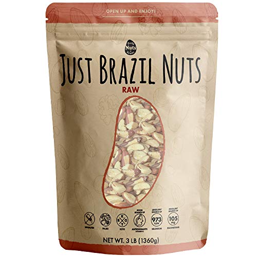 DAILY BRAZIL NUTS BULK POUCH (3 LB) Non-GMO, CERTIFIED GLUTEN FREE, KOSHER CERTIFIED, UN-SALTED, BULK PRICING, KOSHER CERTIFIED