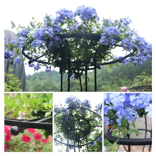 Treillis obélisque de jardin pour plantes grimpantes, 210 cm, support vertical antirouille pour jardinage intérieur et extérieur, idéal pour vignes et fleurs
