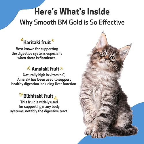 image for Pet Wellbeing Smooth BM Gold for Cats - Gentle Constipation Relief for