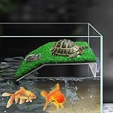 Yoaeyok rampe de bronzage à ventouses pour tortue d’eau photo 6