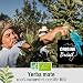 Imagen de YERBA MATE ECOLOGICA 200g
