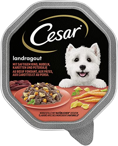 Cesar Mini filetes en salsa con ternera, pasta y zanahorias 150 g, paquete de 12 unidades (12 x 150 g)