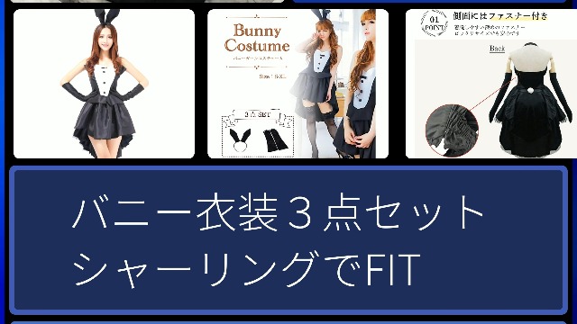 Amazon.co.jp: 【こもれび屋】 バニーガール メイド セクシー