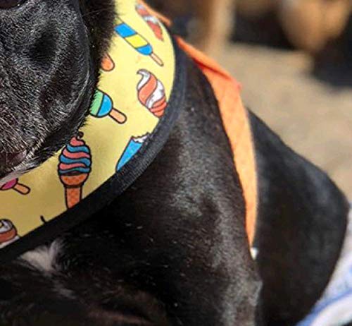 WWWL - Pettorina per cani con bulldog francese