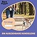 Pet Ville Reflektierende Hundeleine 5 Meter – Antirutsch Rollleine – Schleppleine für Hunde – Halsband Leine – Hundespielzeug – Ausführleine – 16x12x2 cm