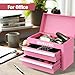 WORKPRO Mini Metal Tool Box with 2 Drawers and Top Storage, Small Tool Chest with PVC Liners and PP Feet Pads, Cold Rolled Steel Toolbox with Magnetic Tab - Pink Ribbon
