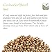 Coriander Seed Organic Gourmet Quality - Cilantro Seeds For Elevating Dishes - Organic Cilantro Corriander Corrriander Corrinder Corriandar Corrander Corrinader Corriandor Corrinander Corriender