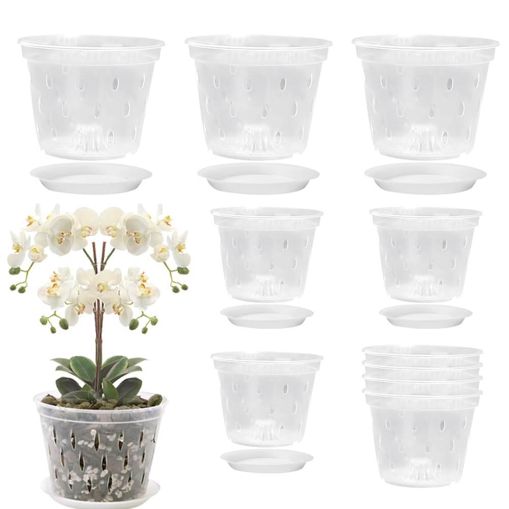 Vmxlso 10 Pieza Maceta Orquidea Transparente, 10cm + 12cm Maceta para Orquídeas con Agujeros y Platillos, Maceta Transparente Orquidea, Macetero Orquidea para Interiores y Exteriores