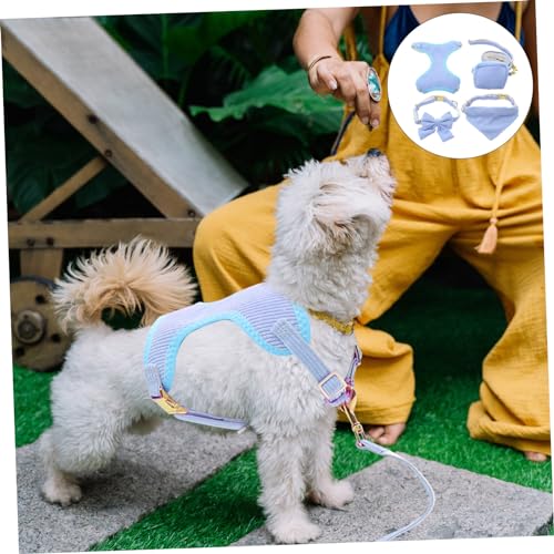 Laisse et collier de sécurité pour chien confortable bleu