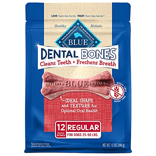 Top 10 Best Bones to Clean Dogs Teeth