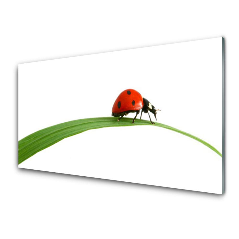 Impression sur verre trempé 100x50cm tableau mural moderne coccinelle floral Tulup