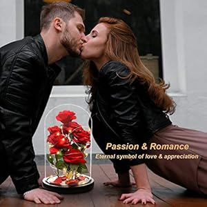 Birthday Gifts for Women,Beauty and The Beast Rose Artificial Silk Rose Flowers Preserved Forever in Glass Dome Stunning Gift for Wife Girlfriend Mother on Mother's Gifts Birthday Gifts for WomenBeauty and The Beast Rose Artificial Silk Rose Flowers Preserved Forever in Glass Dome Stunning Gift for Wife Girlfriend Mother on Mothers Gifts