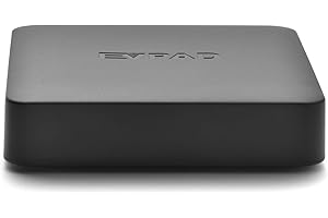 EVpad 10P: Unlock Unparalleled Productivity and Entertainment