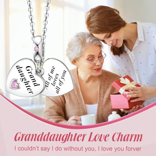 JIAYIQI Mother Sister Daughter Wife Charms Fit Charms Bracelet Necklace with Double Heart Love Charms 925 Sterling Silver Beads for Women Jewelry4