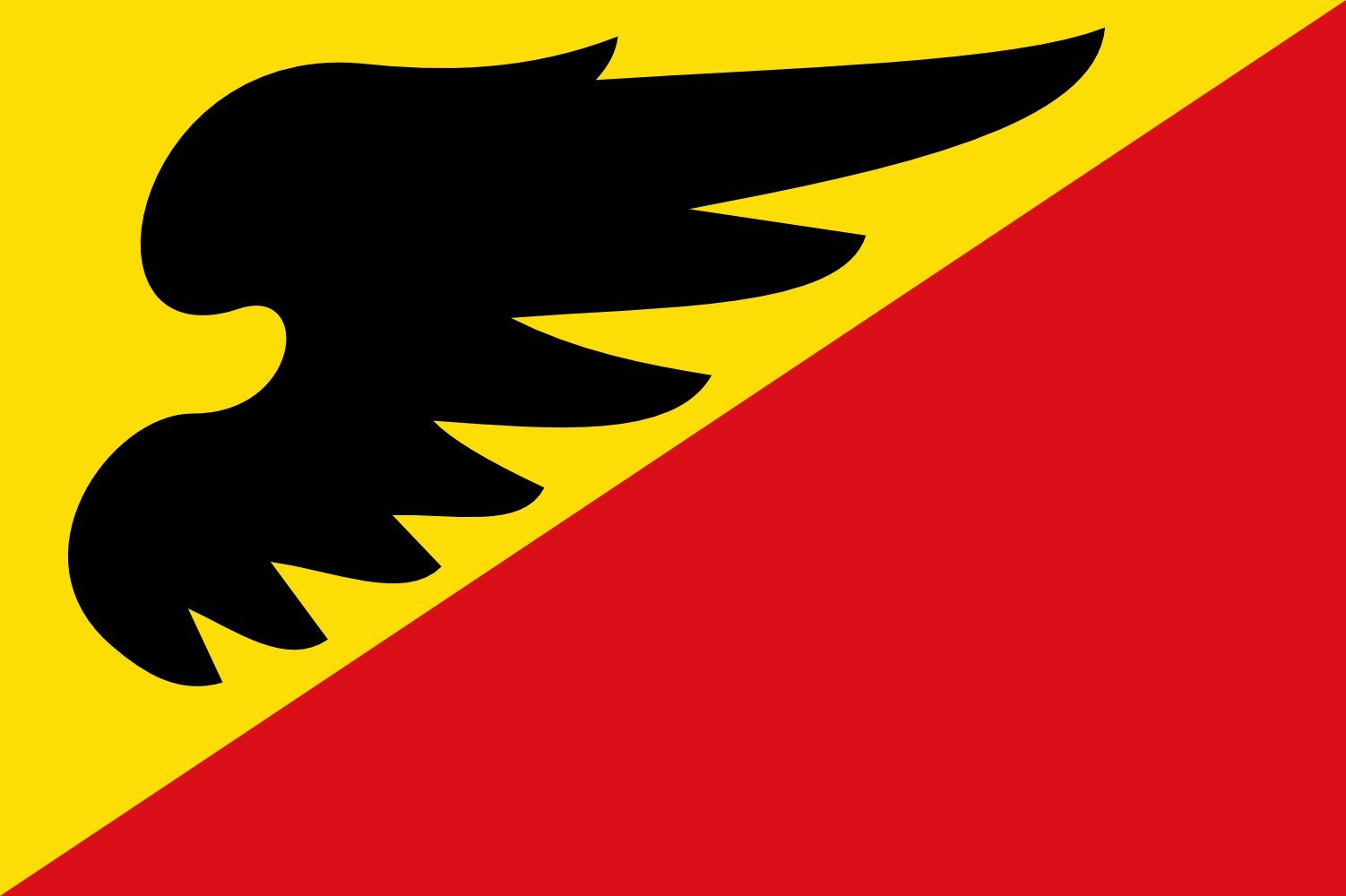 Drapeau large Wetsens vlag en tissu renforcé haute résistance pour tradition de Frise
