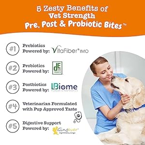 Zesty Paws Probiotics for Dogs – Digestive Enzymes for Gut Flora, Digestive Health, Diarrhea & Bowel Support – Clinically Studied DE111 – Dog Supplement Soft Chew for Pet Immune System – VS, 90 Count