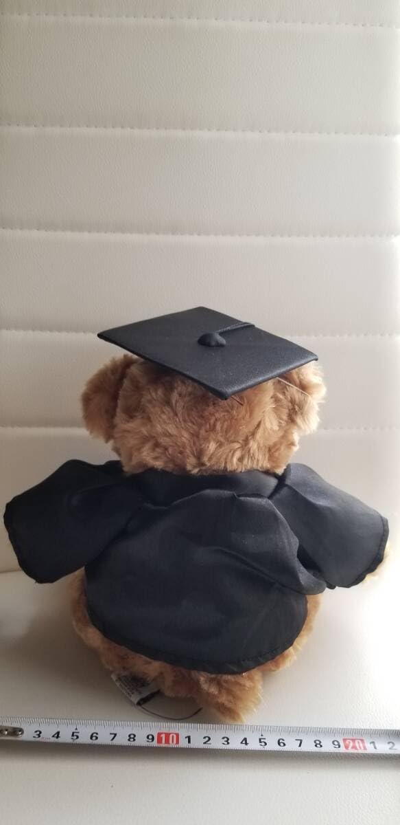 ハーバード　ベアー　テディベア ハーバード ベアー テディベア Amazon.co.jp: レア ハーバード