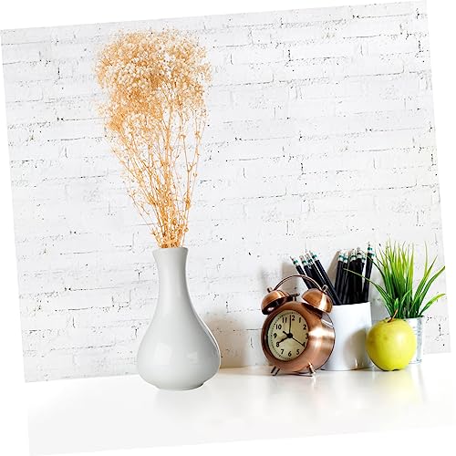 Ramo de Gypsophila seca natural para decoración miniatura 5