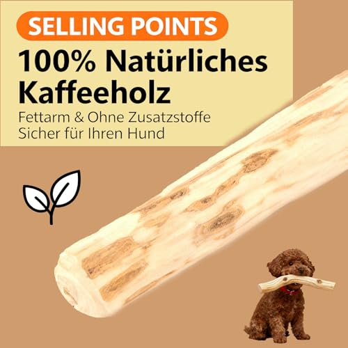 Soiftra 3 Stück Kaffeeholz für Hunde,Zahnreinigung Kauholz für Kleine und Mittlere,Robuster Kauknochen,Kaffeeholz für Welpen,Natürliches Kauholz(14cm Länge, 1.8-2cm Durchmesser)