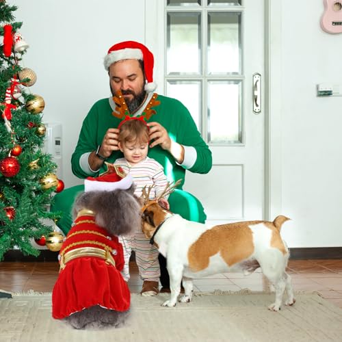 Disfraz Halloween para Perro y Gato Toddmomy Tamaño S miniatura 6