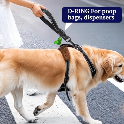JIYIN 29cm Kurzführer Hund, Hundeleine Kurz Leinen Trainingsleine Reflektierende Nylon Hundeleine für Große und Mittlere Hund