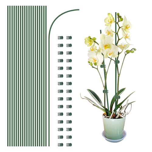 20Pcs Plant Support Stakes with 30 Pcs Plant Clips, Plant St