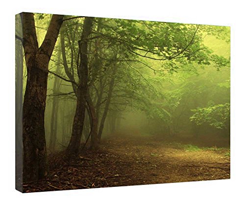 Toile Brume de forêt pour habiller un mur vide cadre bois