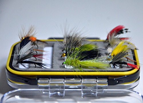 Outdoor Planet Double Side Waterproof Pocketed Fly Box + Assorted Trout Fly Fishing Lure Pack of 15 Pieces Fly Lure