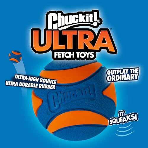 Chuckit! Ultra Quietschball Hundespielzeug, langlebig, hohe Sprungkraft, schwimmend, Gummi, quietschender Hundeball, Launcher kompatibles Spielzeug für Hunde, 3 Stück, Medium